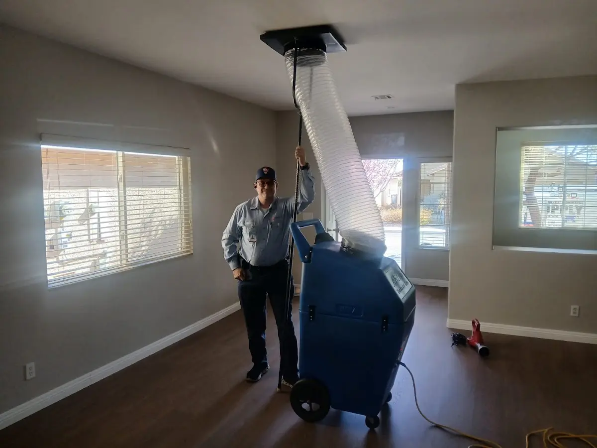 Professional Dryer Vent Cleaning work inside a Verona home